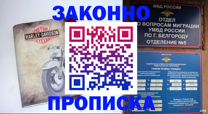 прописка для школы в Елизово